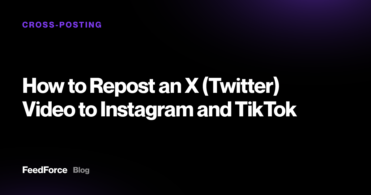 How to Repost an X (Twitter) Video to Instagram and TikTok